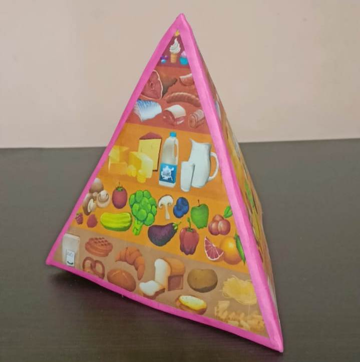 school project food pyramid